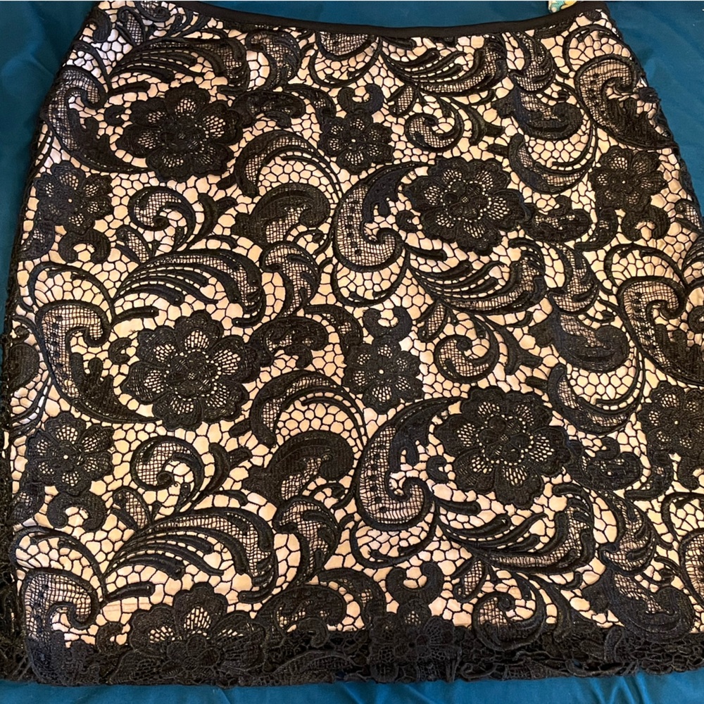 Fully lined, gorgeous lace skirt